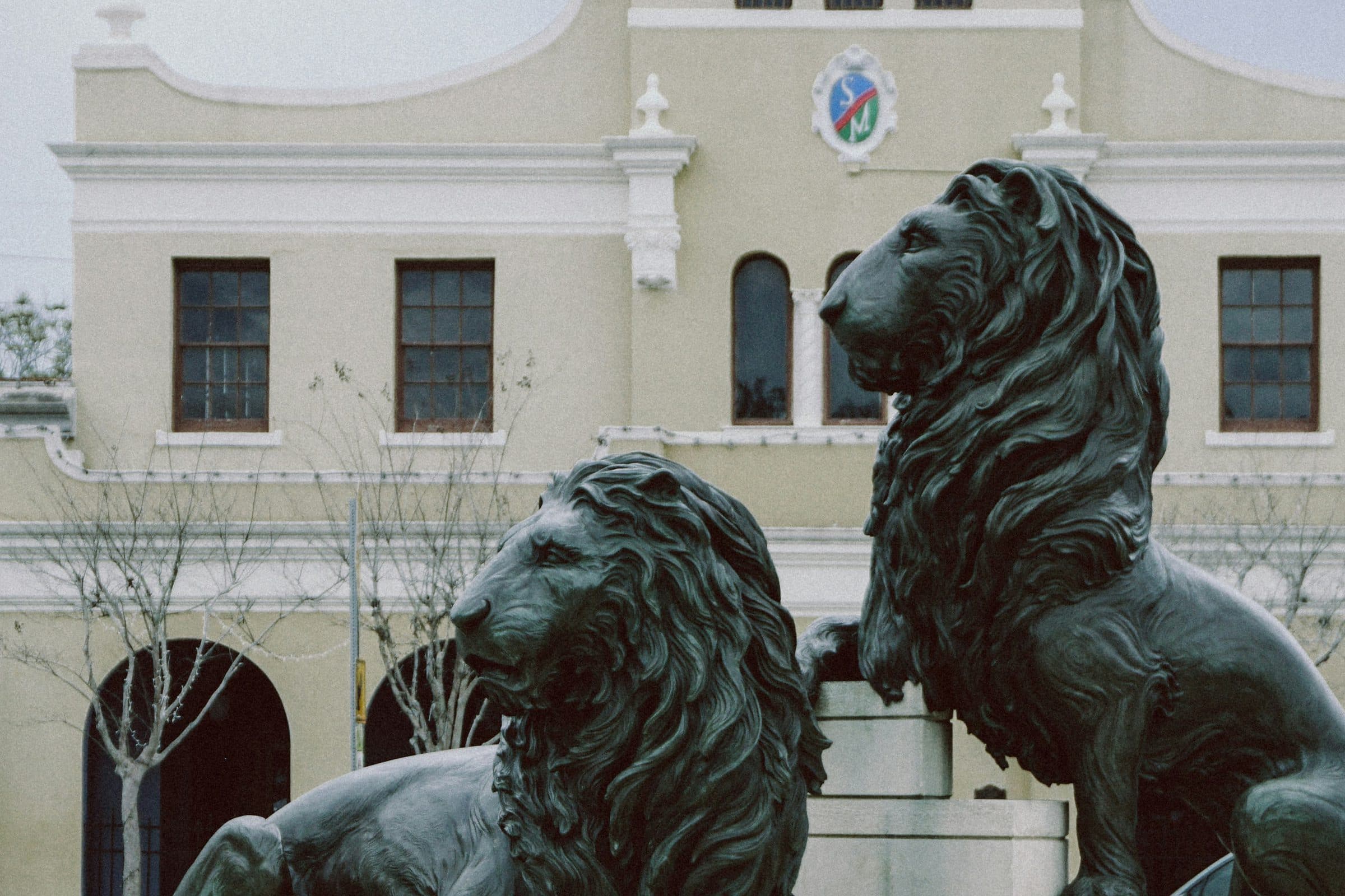 The bronze lions of the San Marco Square fountain, in front of the San Marco building